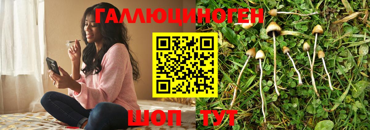 Псилоцибиновые грибы MAGIC MUSHROOMS Добрянка